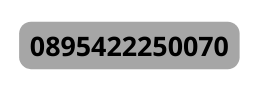 0895422250070
